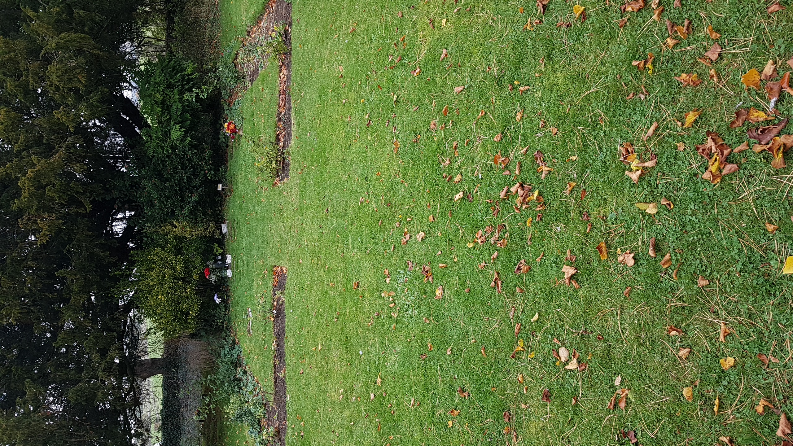 Photograph of Memorial Garden after extension