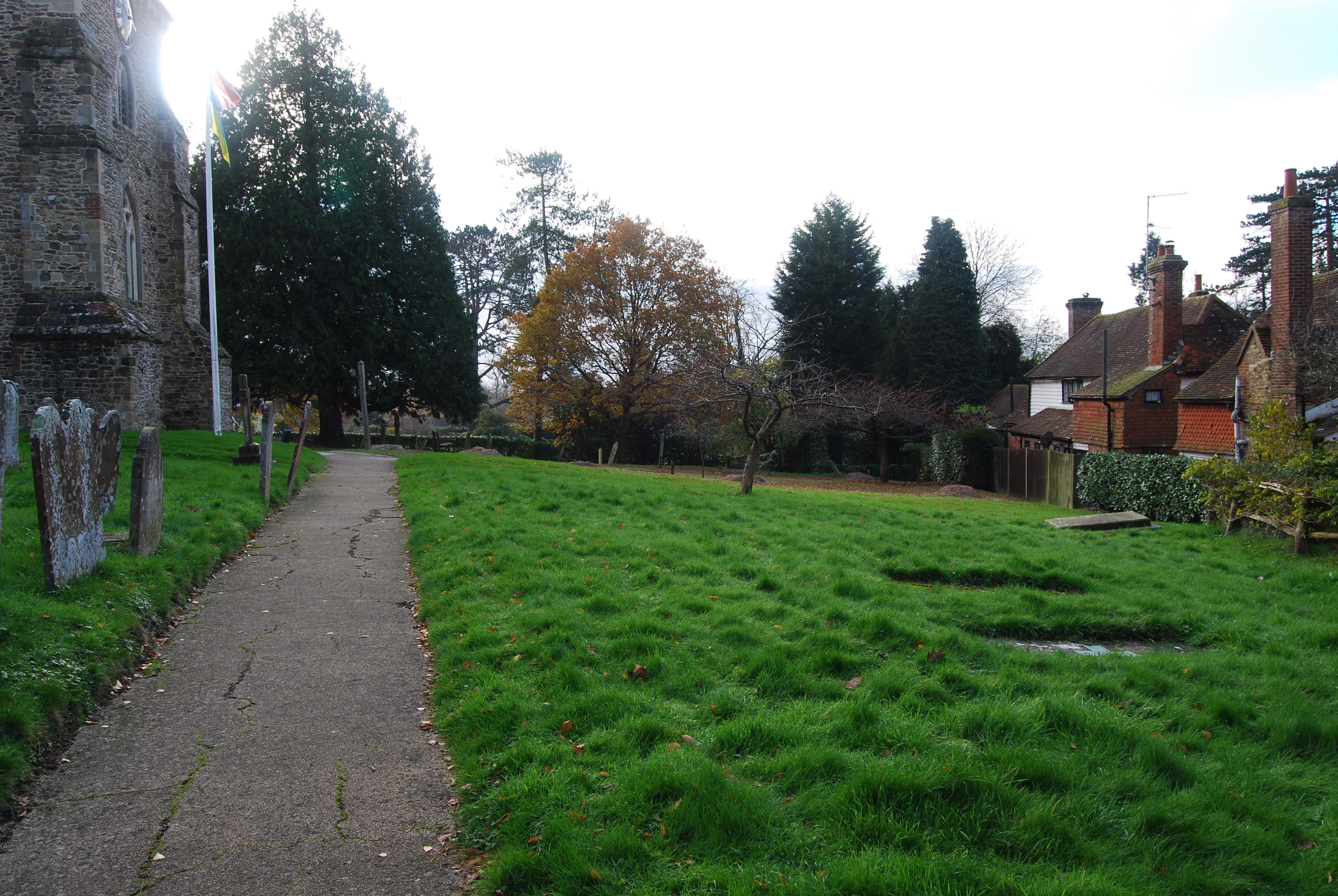 photograph of churchyard after removal of trees