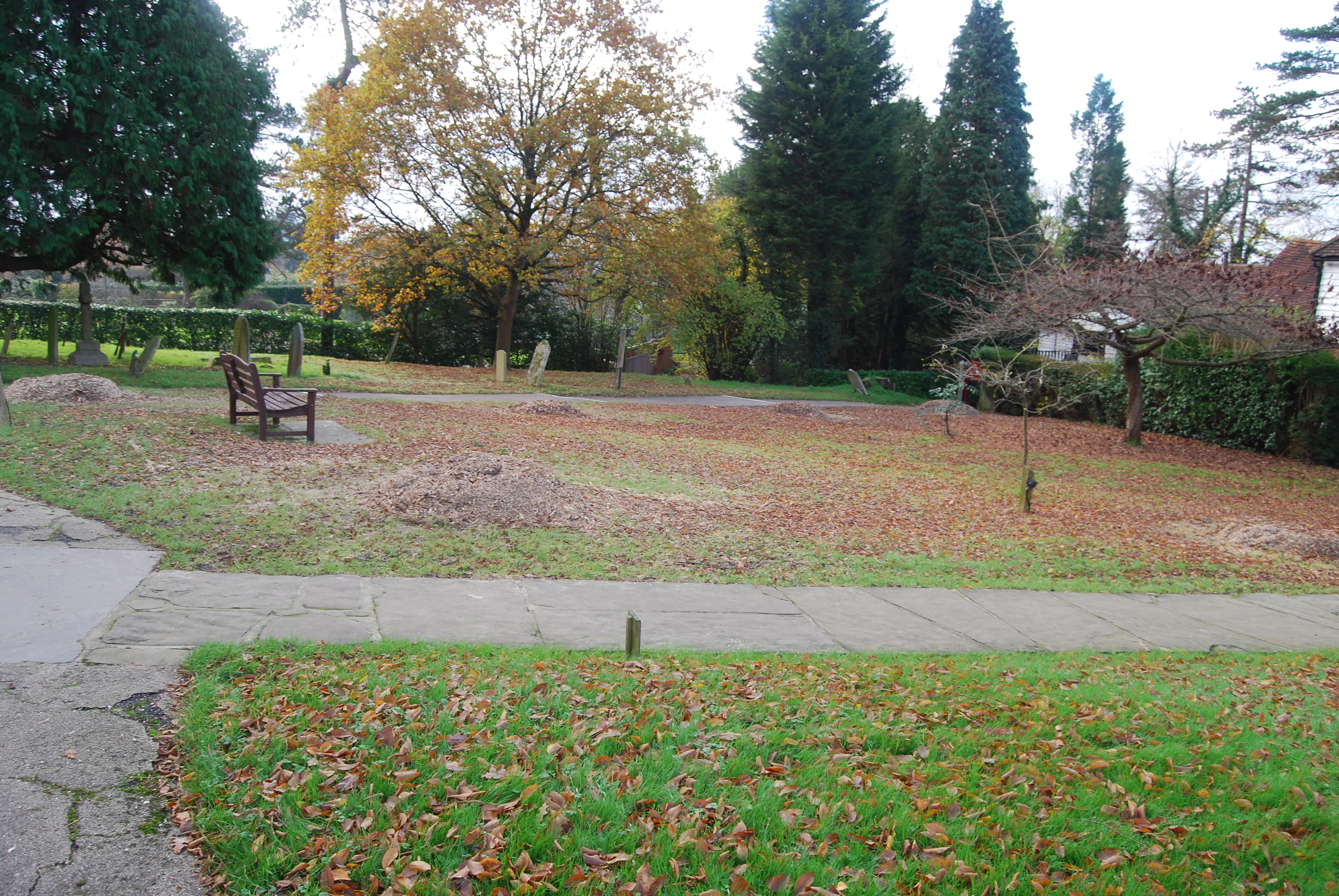 photograph of churchyard after removal of trees