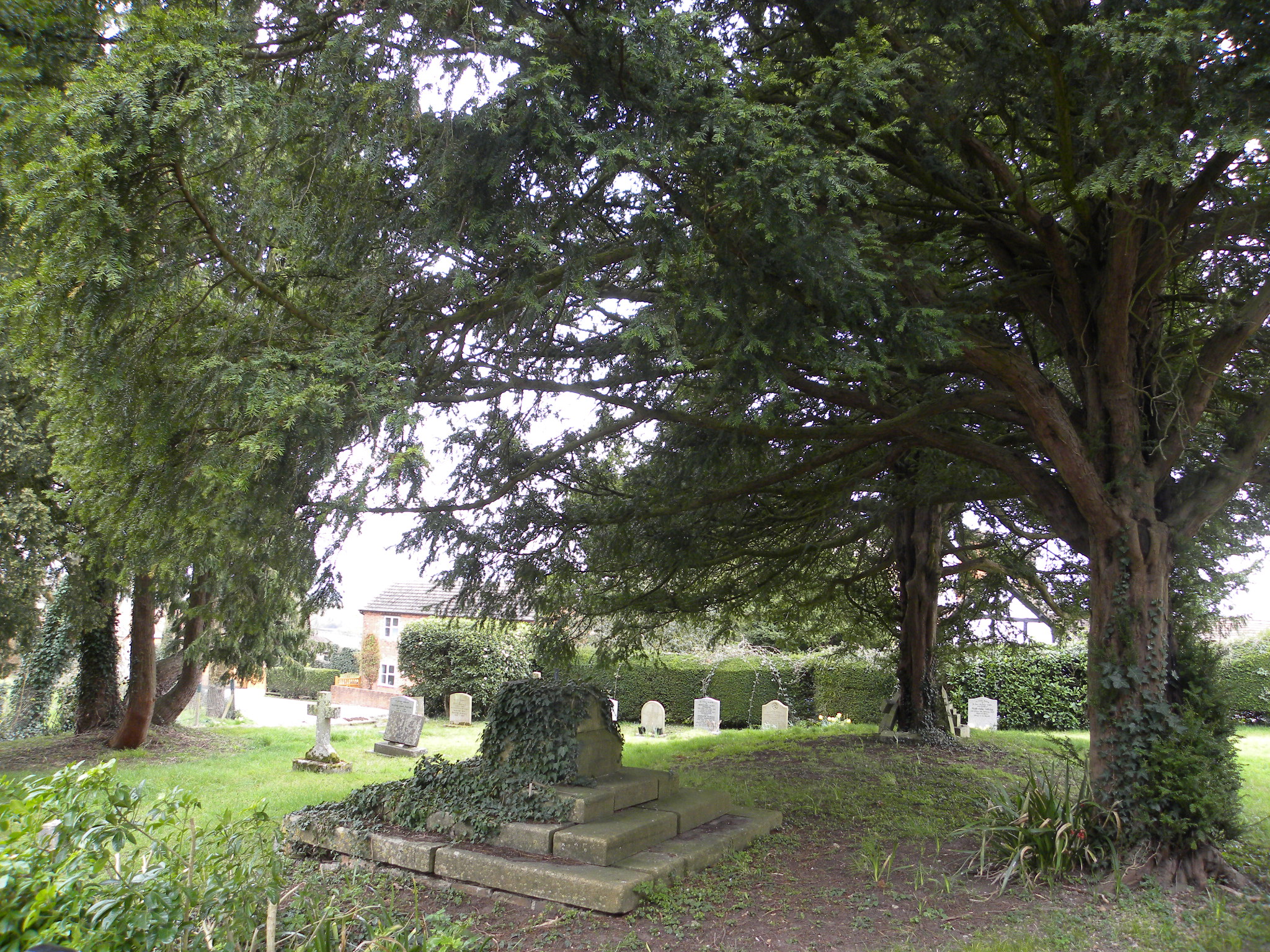 Tree and cross